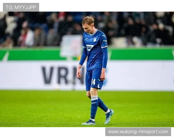 博尼法斯与努涅斯：冲击型中锋的两种发展路径