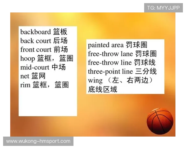 怎么理解篮球中的前场规则？新手必备的场地概念解析