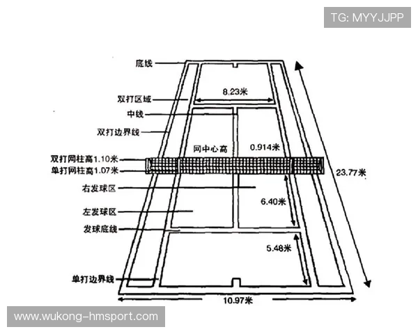 边线规则详解：球出界后如何判定归属？
